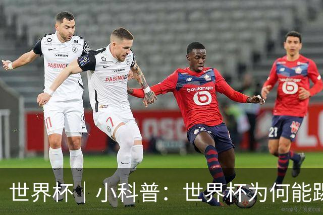 世界杯｜小科普：世界杯为何能踢出那么大的分差？